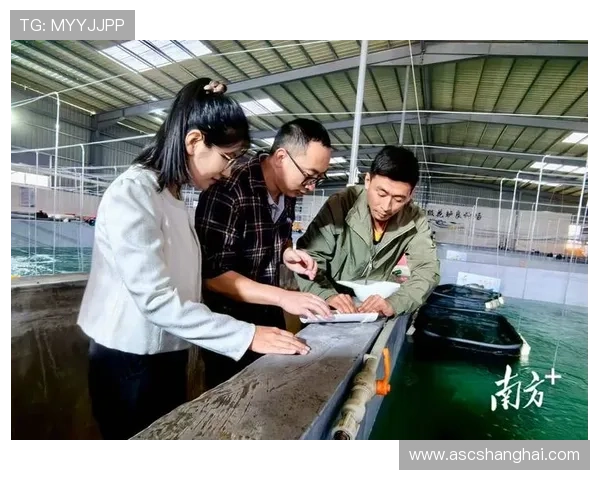 饶平企业家的创新精神与产业发展探索:从传统到现代的成功之路