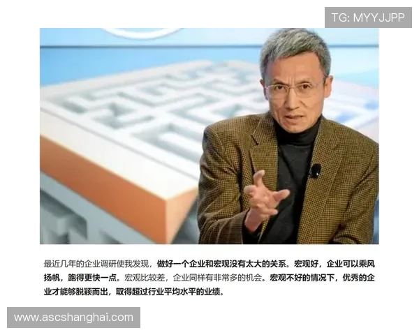 微企业家如何在竞争激烈的市场中脱颖而出实现可持续发展