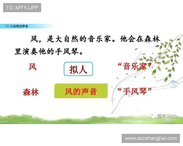 门神四扑点技艺解析与应用探讨